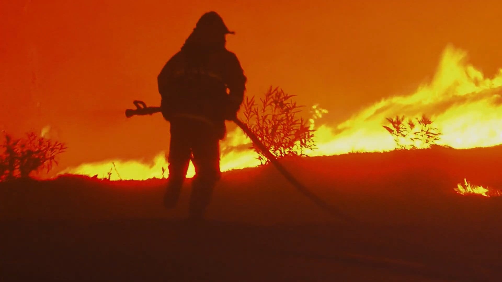 California: Paradiso in fiamme in onda il 30 novembre su National Geographic