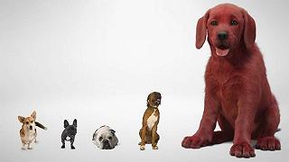 Clifford the big red dog: ecco il primo sguardo al cane gigante