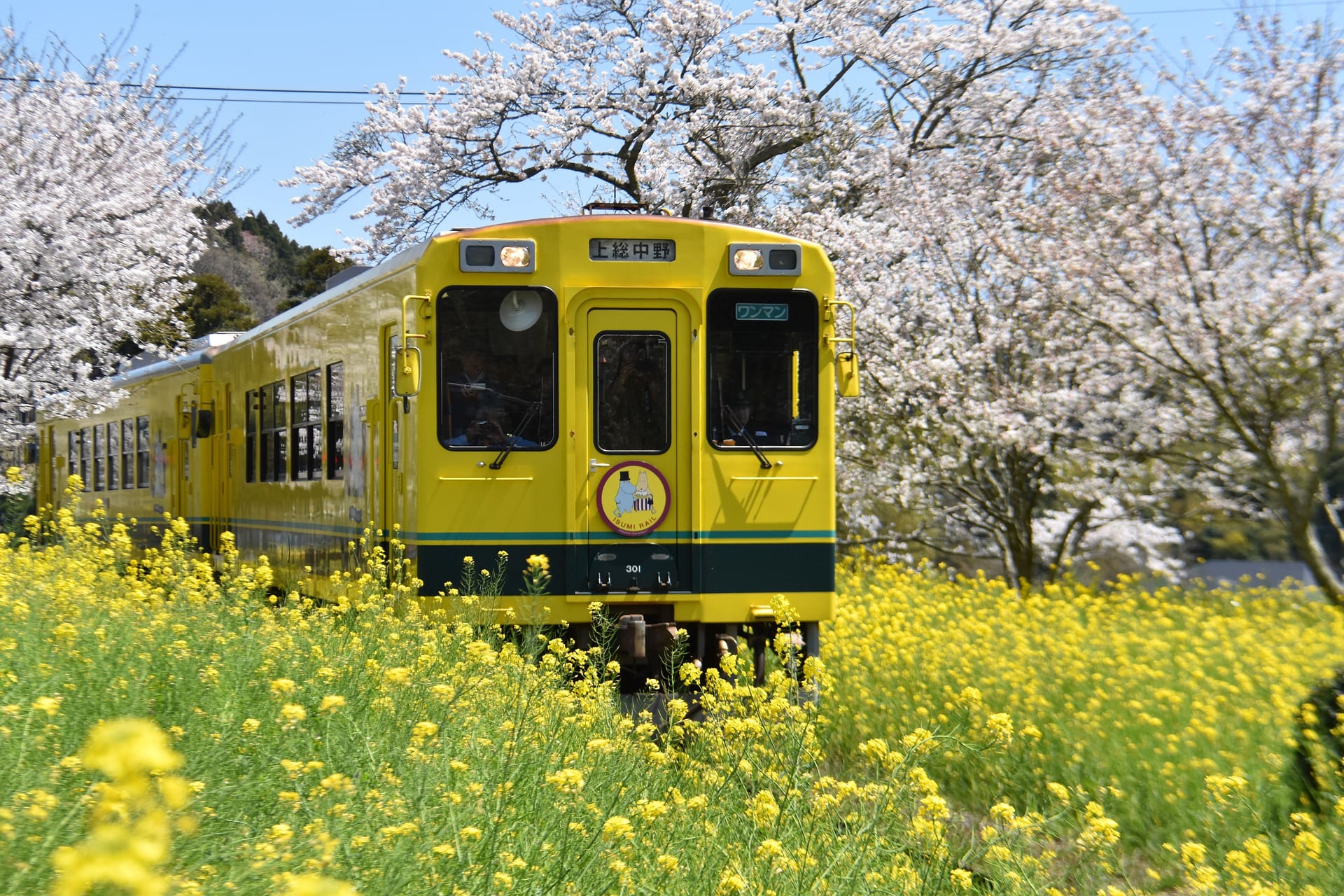 treno giapponese