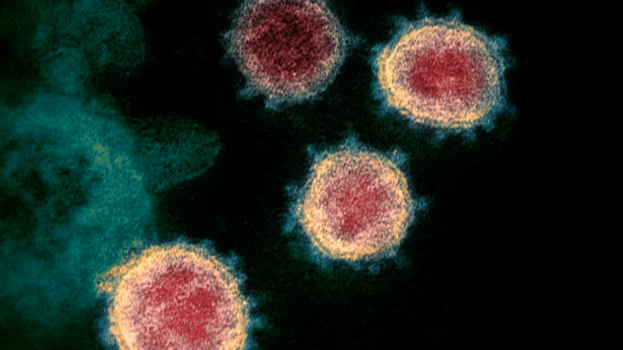 Coronavirus: tutti i dettagli della variante inglese