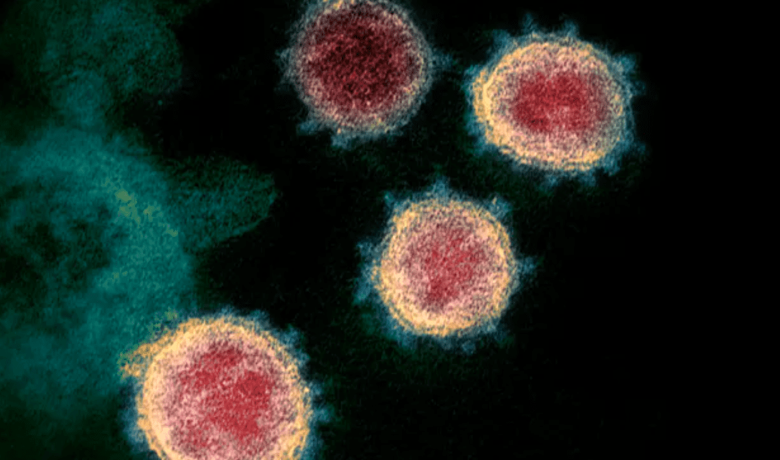 Coronavirus: tutti i dettagli della variante inglese