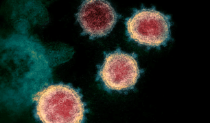 Coronavirus, chi si informa su TV e social ne sa meno