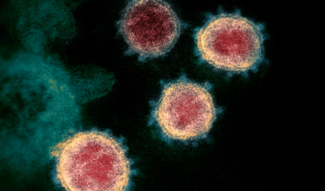 coronavirus