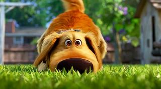 Pixar: Dug Days, lo spin-off di Up ed altre due nuove serie in arrivo