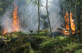 Incendi: il fumo può trasportare microbi che causano malattie infettive