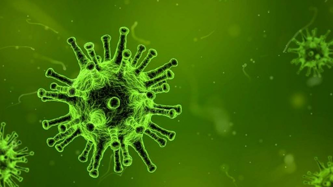 Virus: cosa sono, come si diffondono e come li contrastiamo