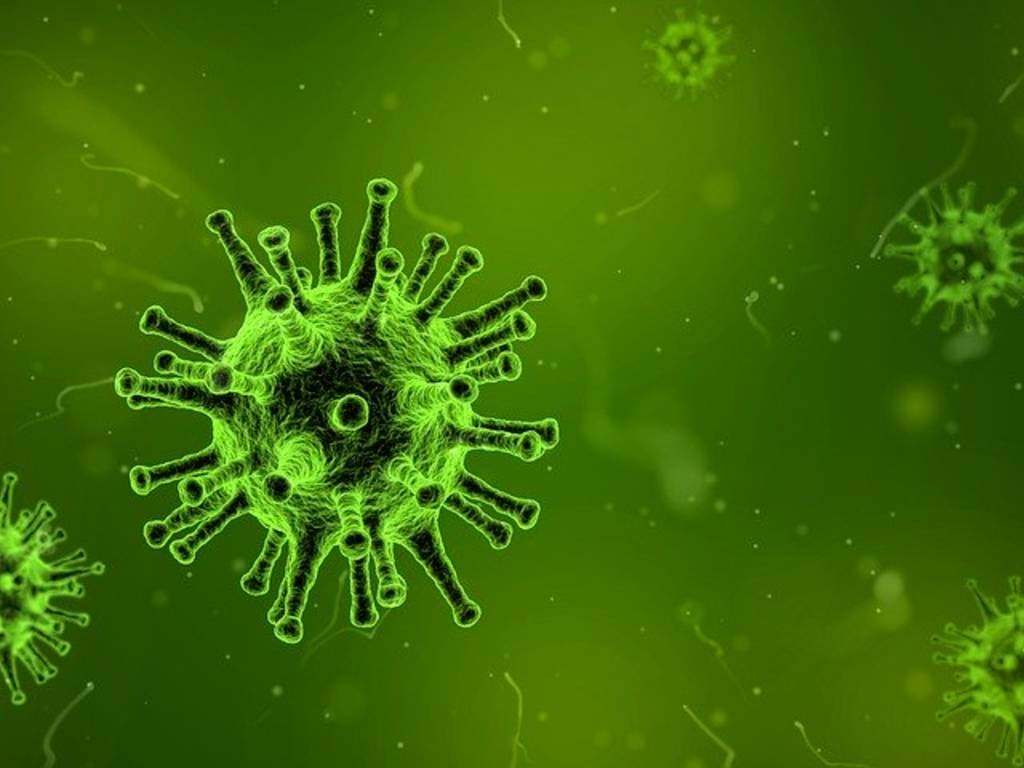 Virus: cosa sono, come si diffondono e come li contrastiamo