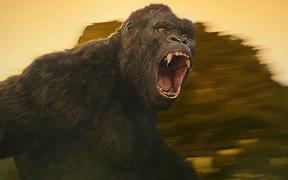 Skull Island: Netflix produrrà la serie animata, farà parte del MonsterVerse