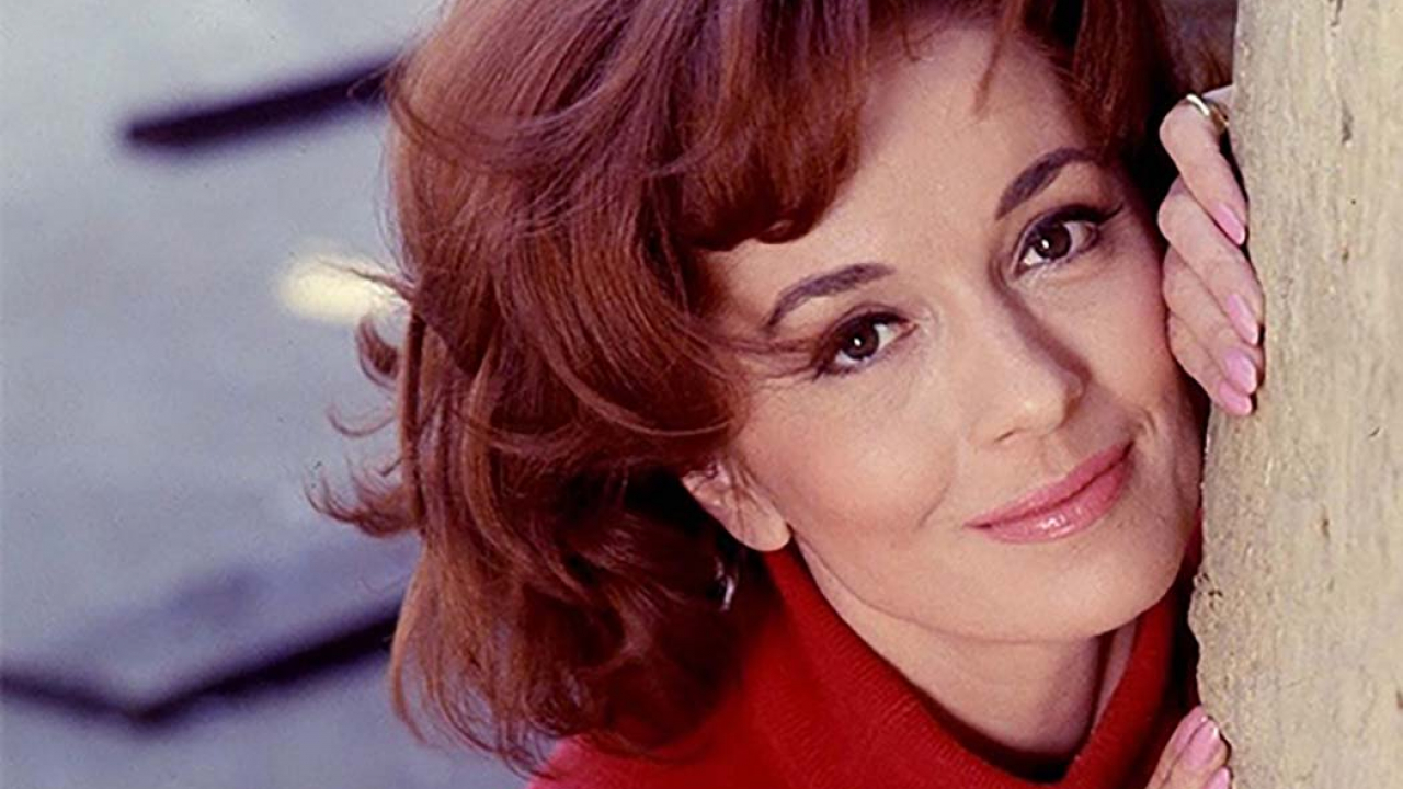 Barbara Shelley