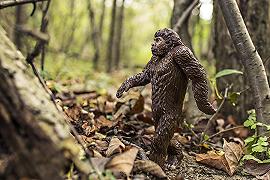 USA, l’Oklahoma apre la stagione di caccia al Bigfoot