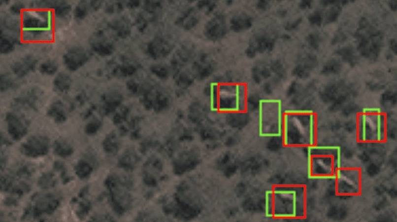 intelligenza artificiale elefanti 2