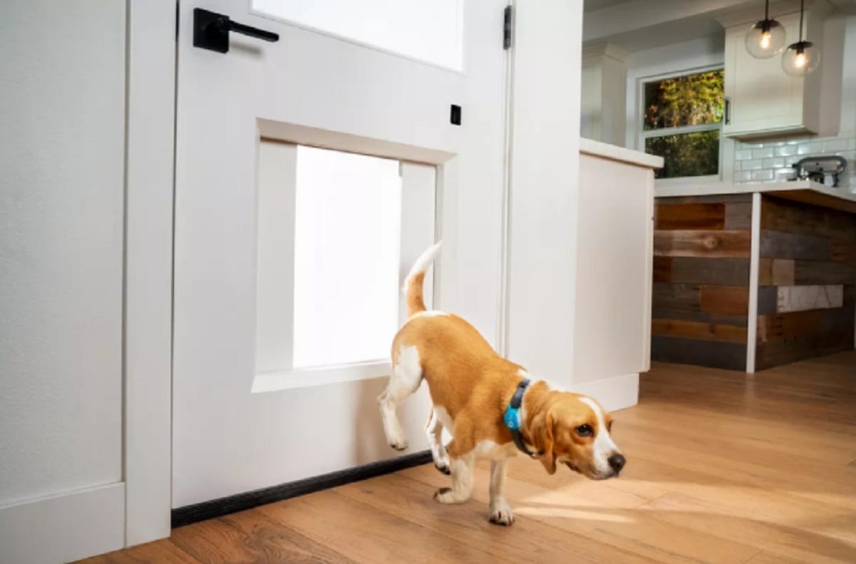 MyQ Pet Portal, il portoncino smart per cani e gatti al CES 2021