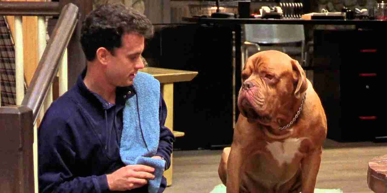 turner & hooch