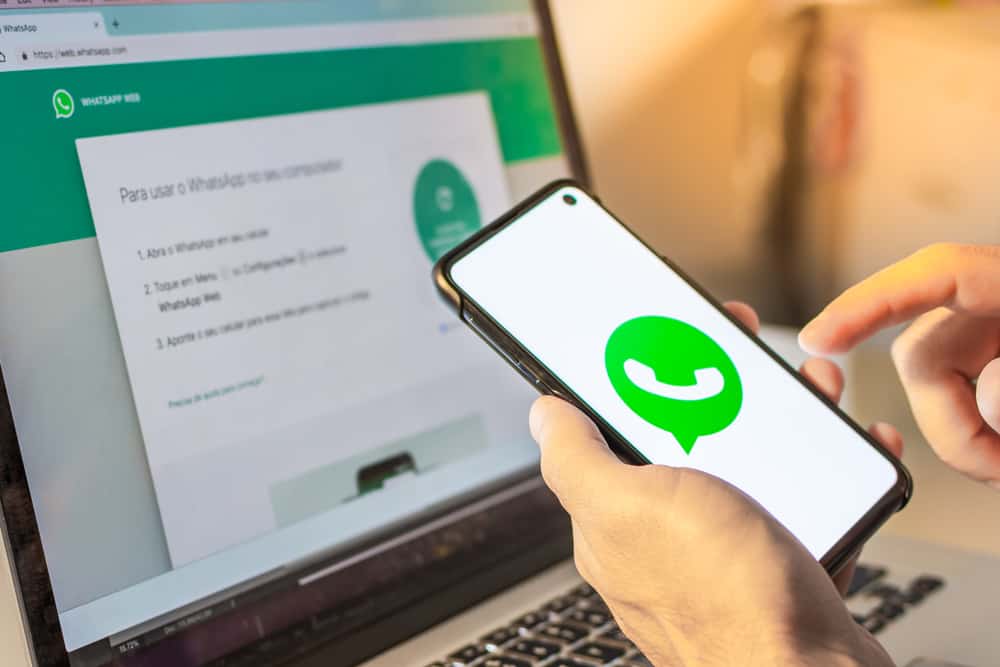 whatsapp web autenticazione