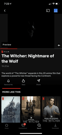 The Witcher: Nightmare of the Wolf