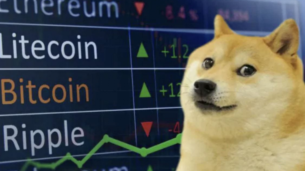 Dogecoin, breve storia di una criptovaluta nata per scherzo