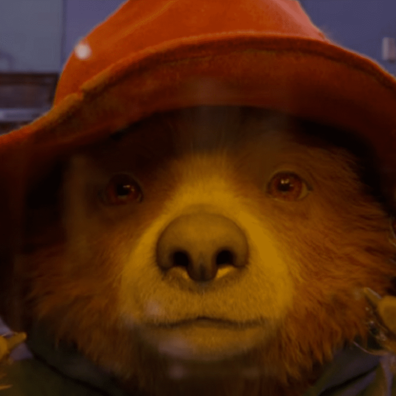 Paddington 3 il film uscirà nel 2025 Lega Nerd