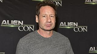 David Duchovny realizzerà una serie TV sul suo ultimo romanzo