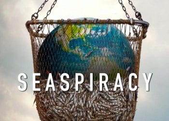 Seaspiracy: la denuncia della distruzione dell'industria della pesca