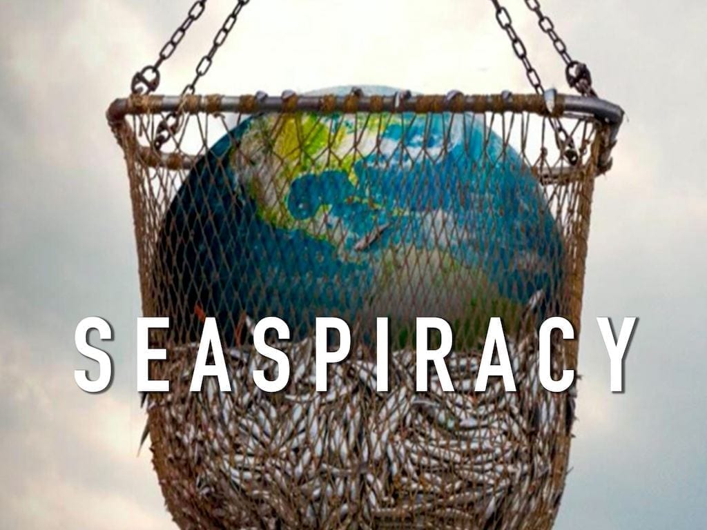 Seaspiracy: la denuncia della distruzione dell’industria della pesca