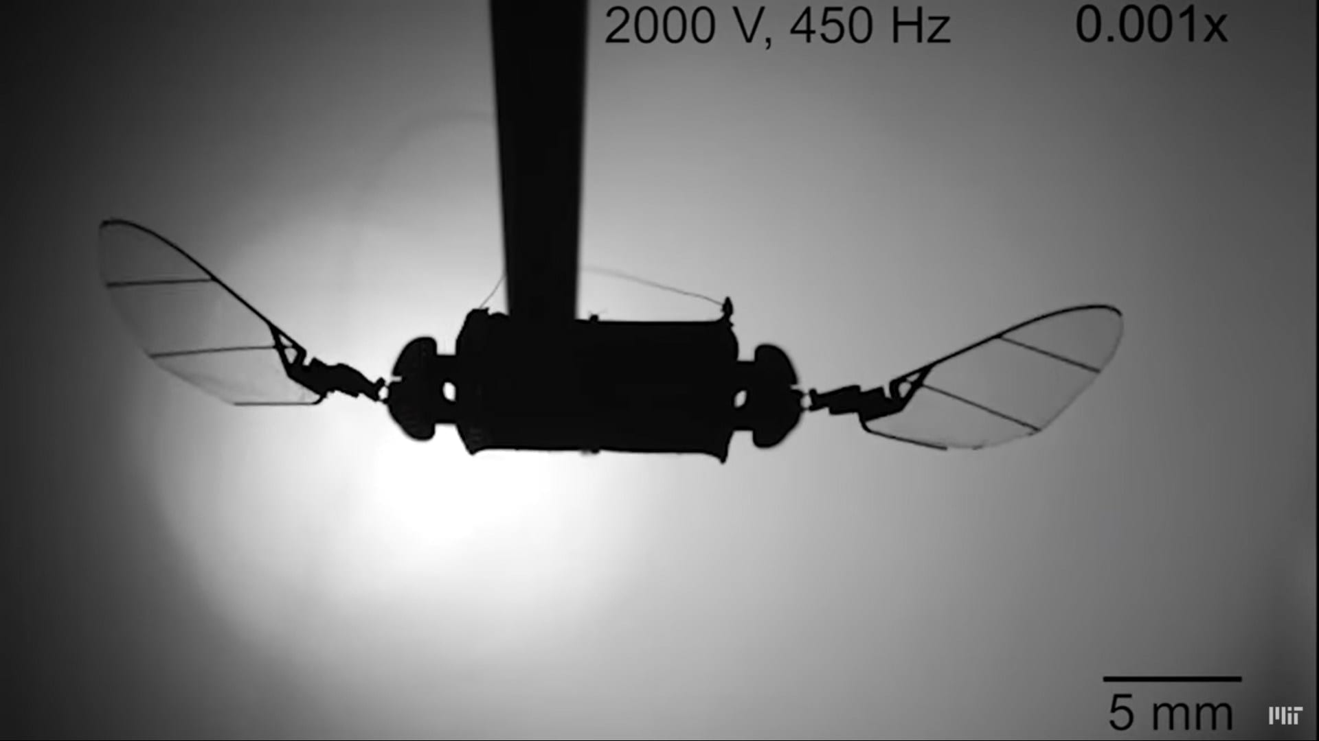 Una nuova generazione di droni insetti si sta avvicinando