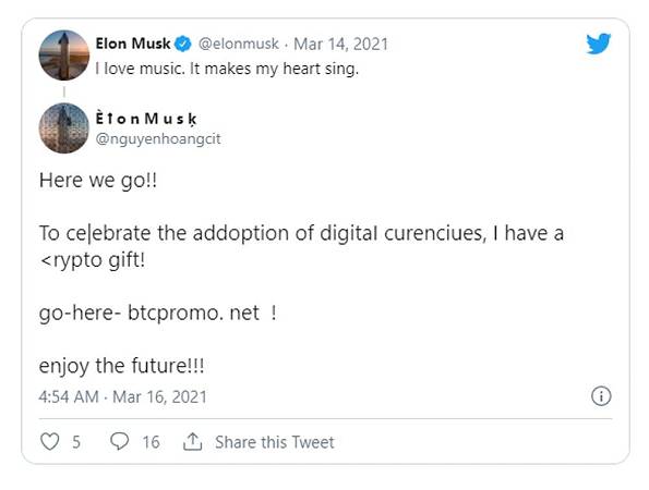 truffa musk