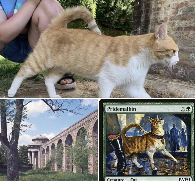 Magic The Gathering: il gatto di Lucca che ha ispirato una carta di Karl Kopinski