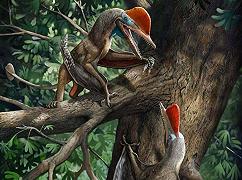 Scoperte le creature più antiche con il pollice opponibile, sono degli pterosauri