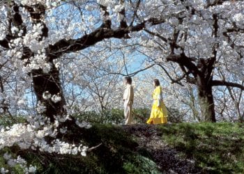 Takeshi Kitano: i 10 migliori film del regista giapponese