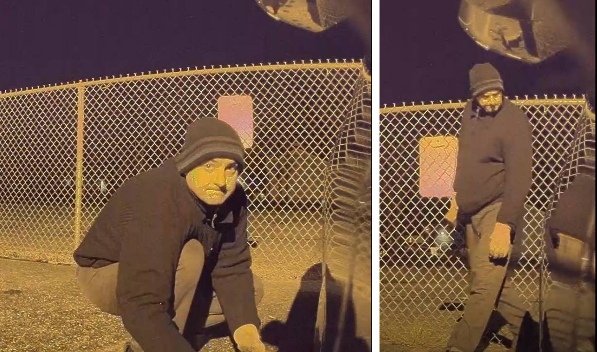 Tesla, una macchina permette l’arresto di un criminale razzista