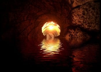 Guano di pipistrello: nelle profondità di una grotta la storia della Terra