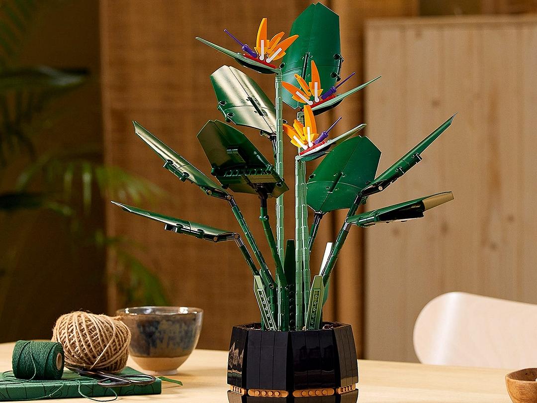 LEGO Bird of Paradise, in arrivo il nuovo set della linea LEGO Botanical [AGGIORNATO]