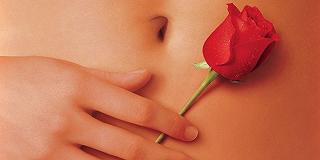 American Beauty: la storia del poster iconico del film