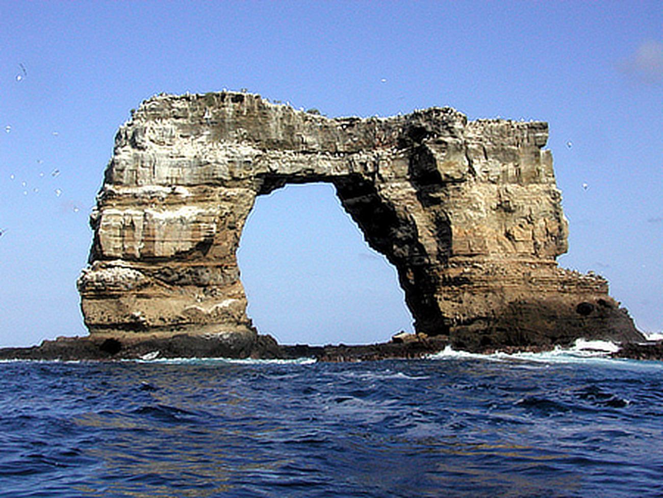 L’arco di Darwin delle Galapagos cede all’erosione