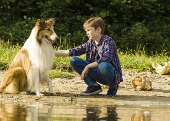 Lassie torna a casa: trailer del ritorno in pompa magna del collie più amato di sempre