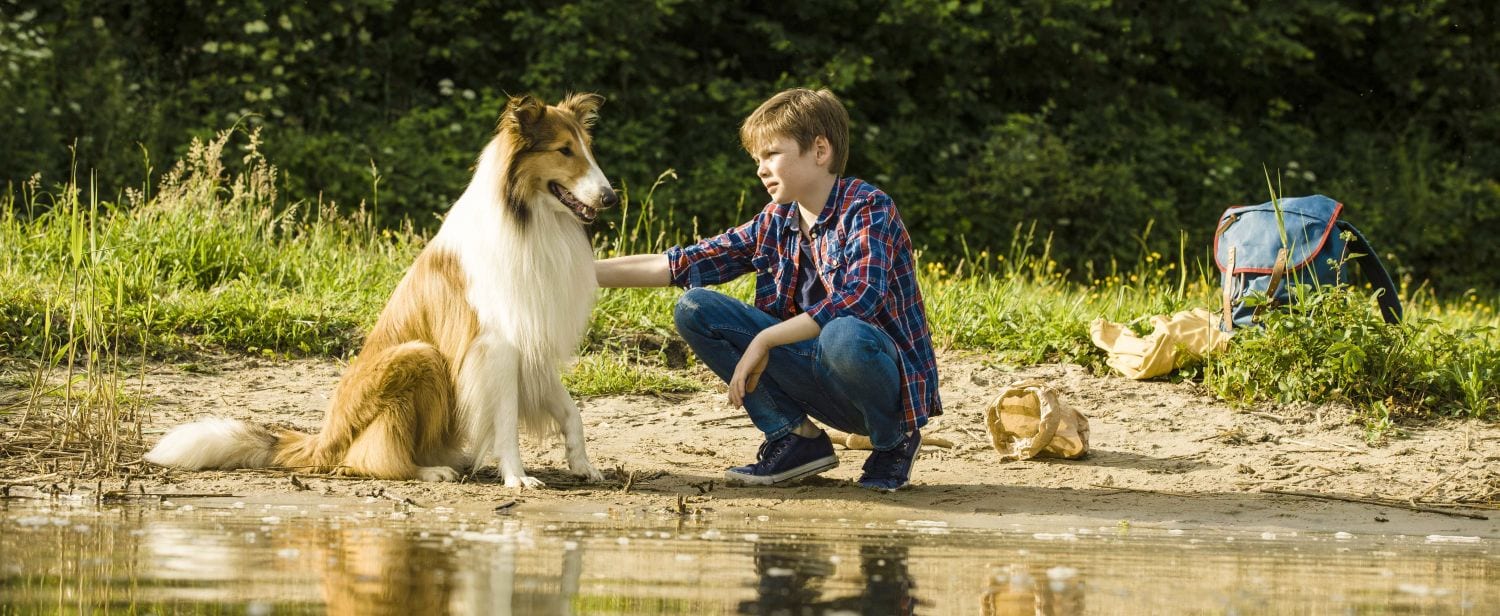 Lassie torna a casa: trailer del ritorno in pompa magna del collie più amato di sempre
