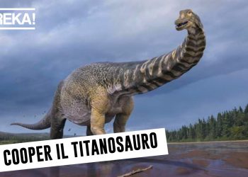 Dinosauri GROSSI: dall'Australia arriva Cooper, il titanosauro