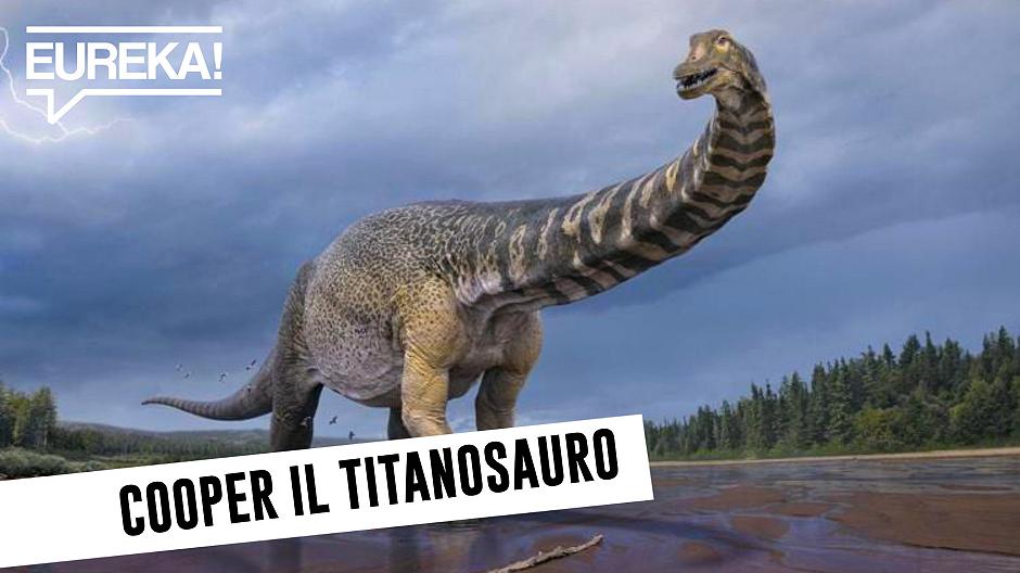 Dinosauri GROSSI: dall’Australia arriva Cooper, il titanosauro