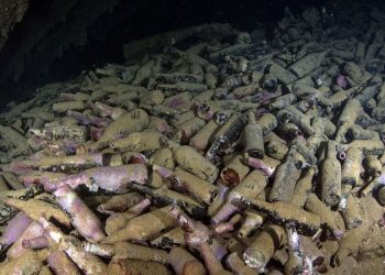 Centinaia di birre dell'800 nel relitto di una nave scozzese, la scoperta di un sub