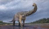 Dinosauri, classificato il più grande esemplare dell'Australia