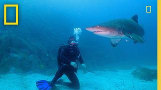 Chris Hemsworth incontra gli squali nella clip di Shark Beach su National Geographic