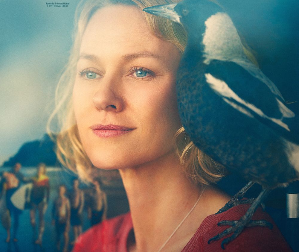 Penguin Bloom: trailer del film con Naomi Watts tratto dall’omonimo romanzo