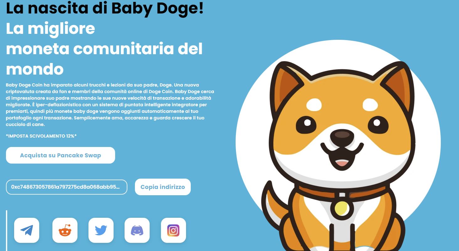 Baby Doge: Elon Musk pubblica un tweet demenziale, la criptovaluta prende il volo
