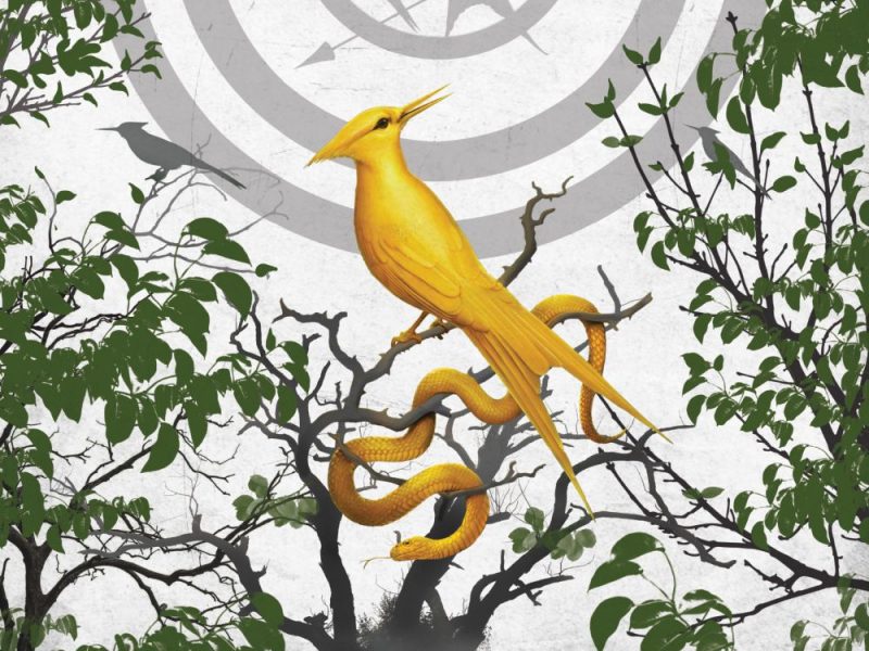 Hunger Games La Ballata Dell'usignolo E Del Serpente Film