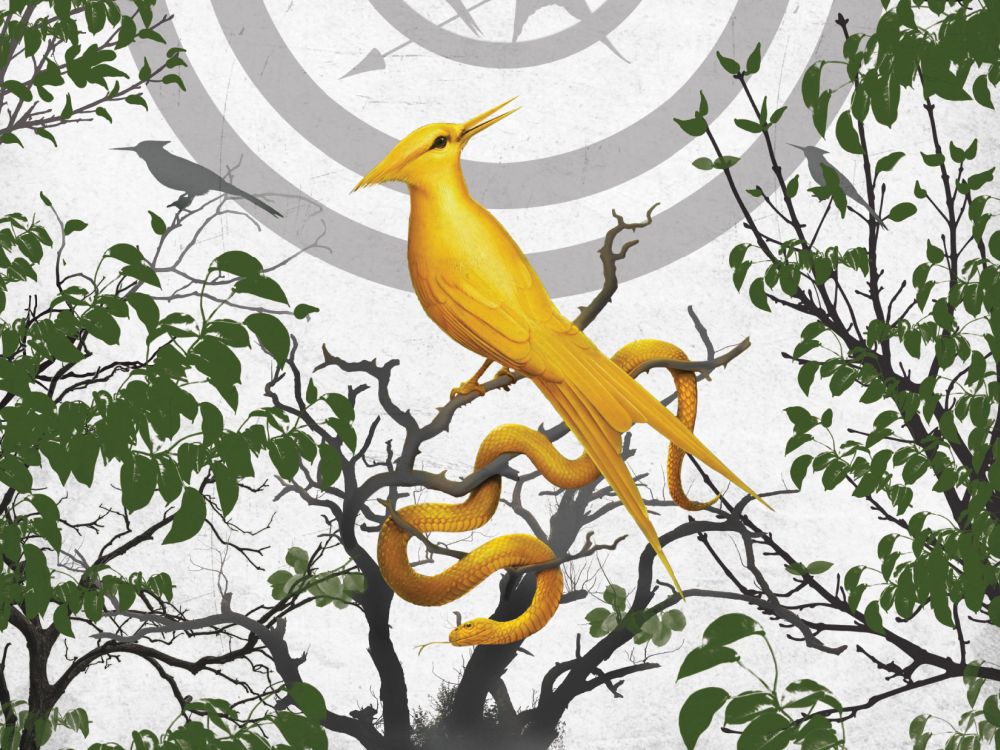 The Hunger Games: The Ballad of Songbirds and Snakes, primo teaser