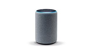 Alexa potrebbe rovinare delle sorprese natalizie, ma c’è un modo per fermarla