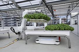 Bill Gates punta sulle coltivazioni idroponiche completamente automatizzate