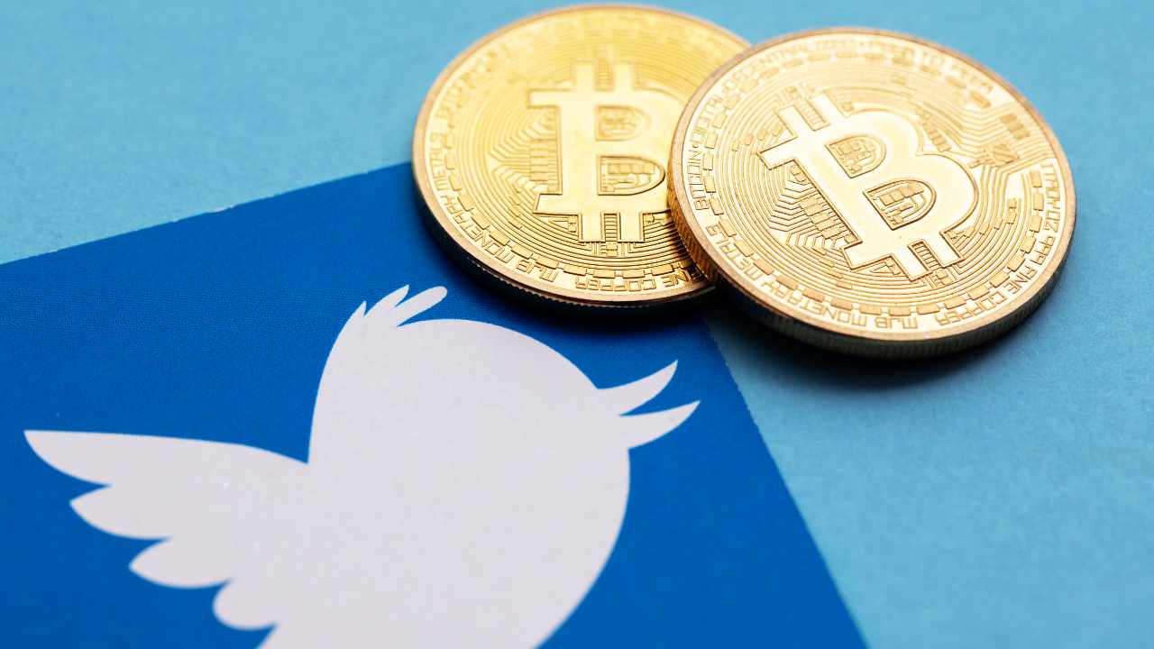 “Twitter consentirà di inviare pagamenti, anche in criptovalute”, promette Elon Musk