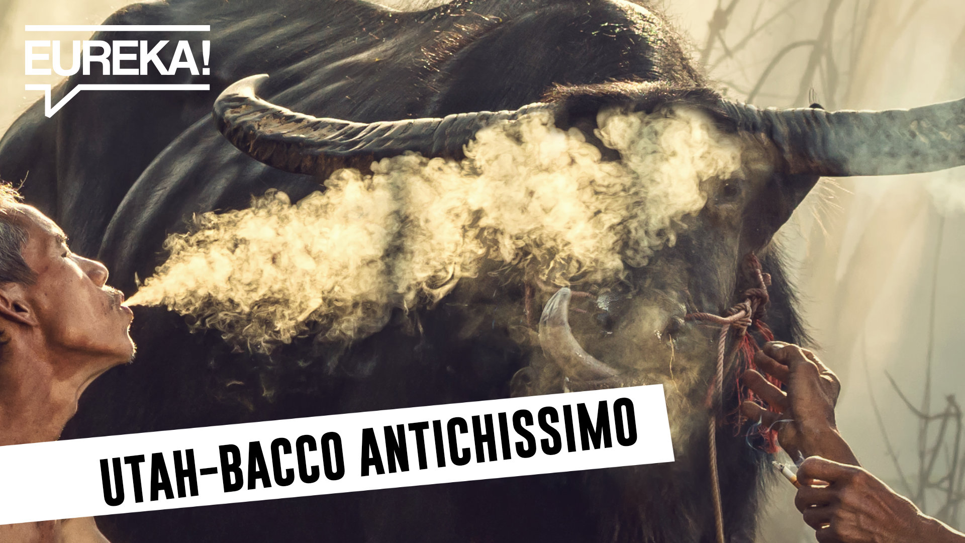 Si masticava tabacco già nel Pleistocene (12.000 anni fa)
