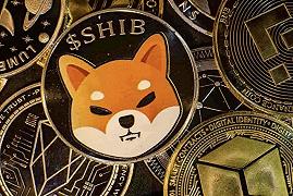 Shiba Inu testa a testa con i dogecoin, ma il sorpasso è durato poco